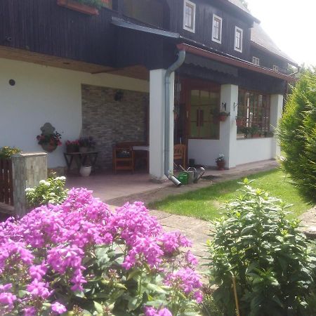 Ubytovani U Sviraku Srbska Kamenice Exterior photo