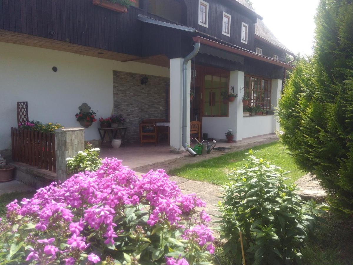Ubytovani U Sviraku Srbska Kamenice Exterior photo